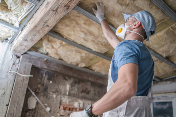 Best Insulation Installation Services in Lowell, MI