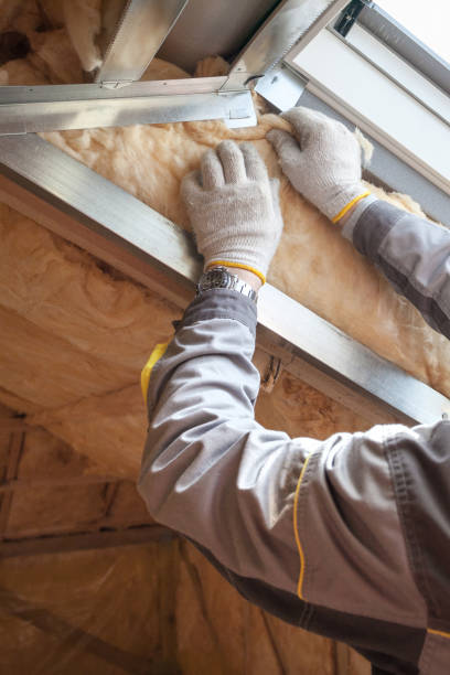 Professional Insulation Contractor in MI